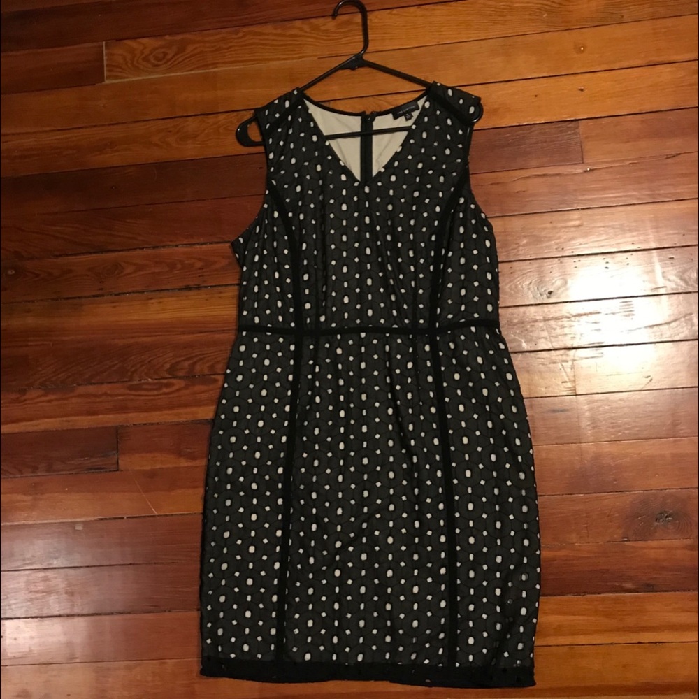 The Limited Eyelet Dress